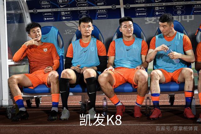 凯发K8公司简介展示图